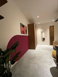 Niven Road (D9), Terrace #556467181